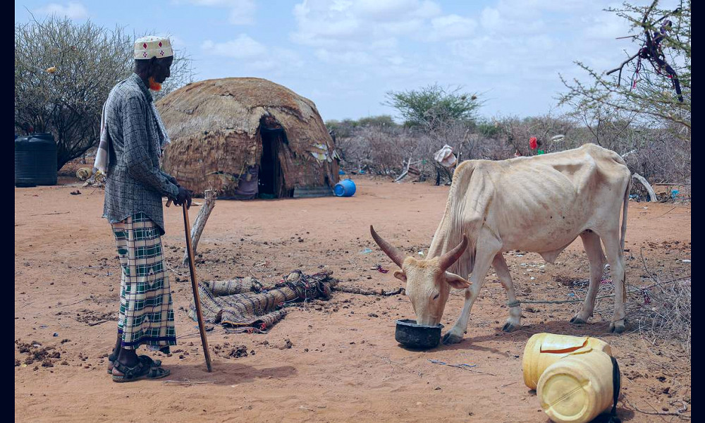 Cash in Kenya helps families cope with drought. | Oxfam