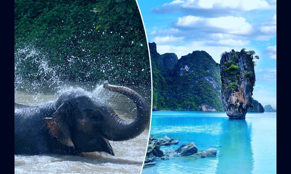 Visit Thailand's non-abusive elephant sanctuaries on Phuket