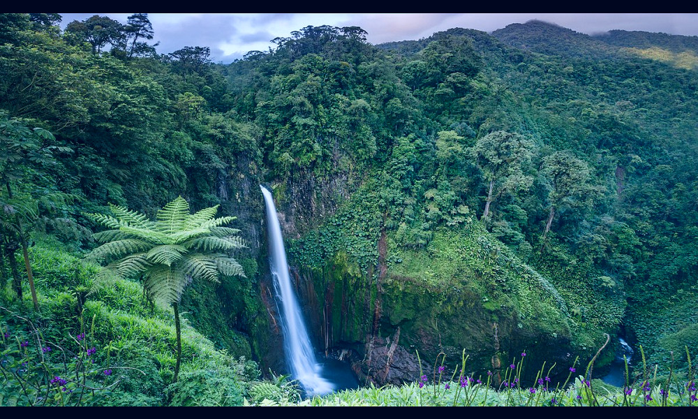 Costa Rica rainforests: 6 best experiences - Tripadvisor