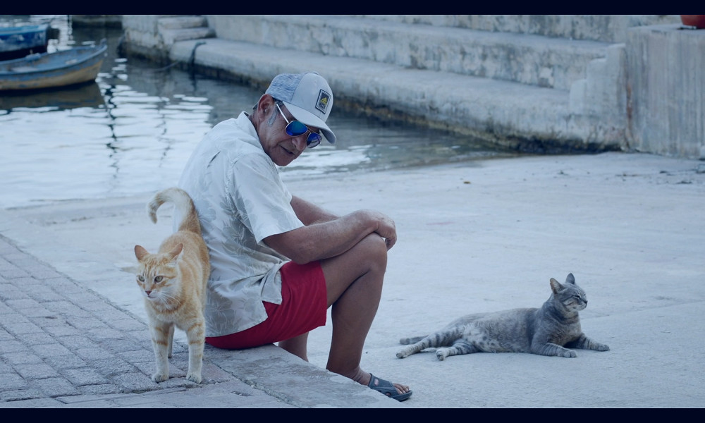 MDFF 2022: 'Cats of Malta' (Interview) — Film Fest Report